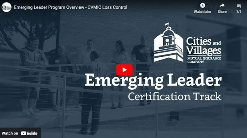 CVMIC Emerging Leader Certification Track