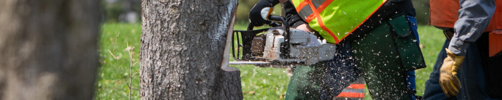 Chainsaw 101: Chainsaw Safety and Use for Beginners (In-Person)